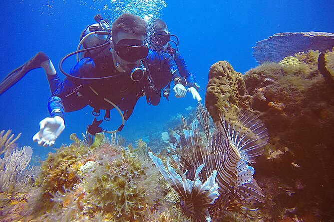 2 Tanks Scuba Diving in Punta Cancun Reefs for Certified Divers - Getting to the water: check-in at Hotel Sotavento and the boat schedule