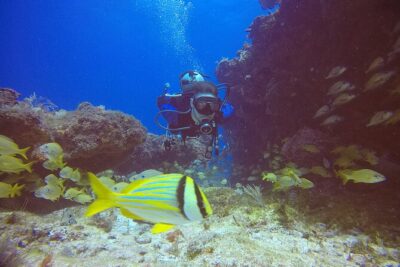 2 Tanks Scuba Diving in Punta Cancun Reefs for Certified Divers - Two separate reef sites: how the 2-tank format plays out