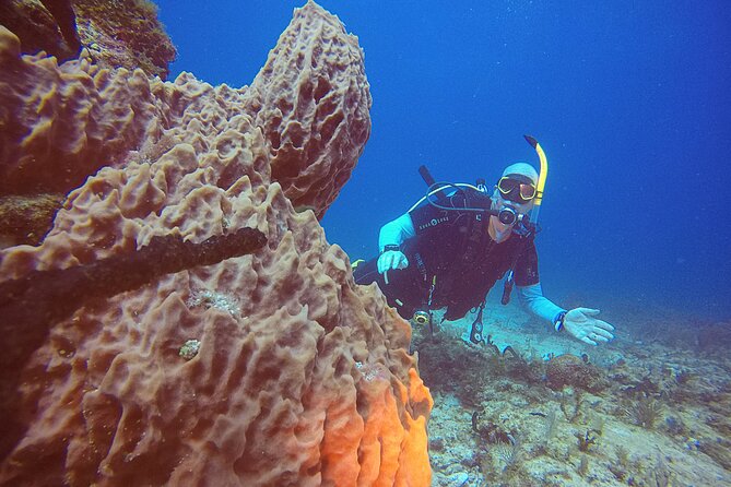 2 Tanks Scuba Diving in Punta Cancun Reefs for Certified Divers - Price and value: is $159 for 2 tanks a good deal?