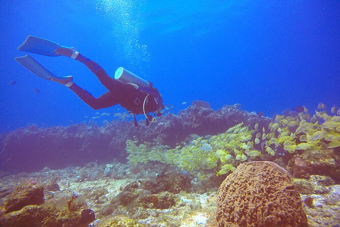 2 Tanks Scuba Diving in Punta Cancun Reefs for Certified Divers - What to bring (so nothing ruins your afternoon)