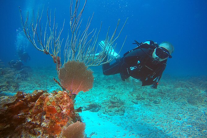 2 Tanks Scuba Diving Wreck and Reef in Cancun for Certified Divers - Coral-friendly rules: sunscreen isn’t allowed
