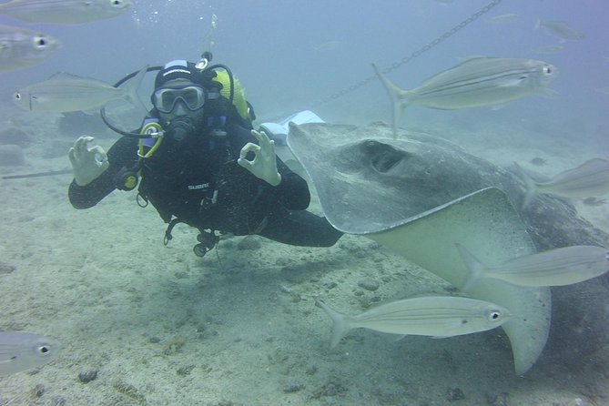 2x diving package, on request including refreshment - Timing and Pacing: What the 5–6 Hours Feels Like