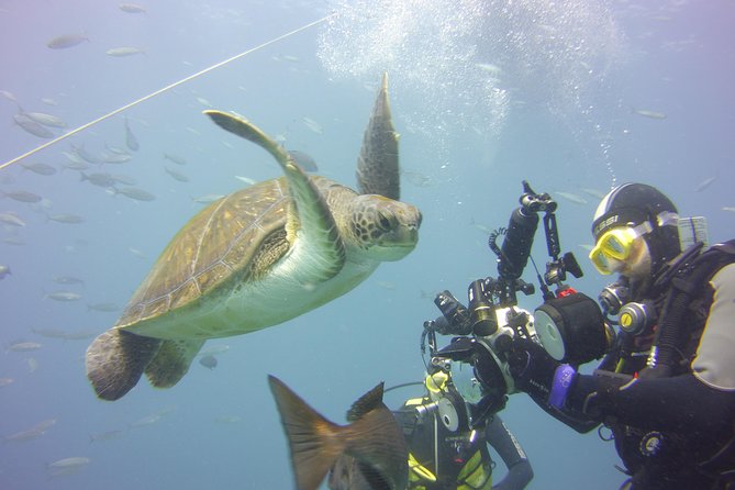 2x diving package, on request including refreshment - Meet the Team: Professional, Friendly, and Small-Group Friendly