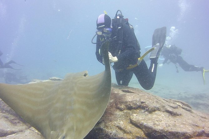 2x diving package, on request including refreshment - What’s Included vs. What You’ll Need to Add