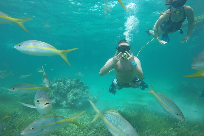 3 ADVENTURES: Sailing Catamaran Cruise - Hooka Diving - Snorkeling - On-Deck Energy: Open Bar, Dancing, and When the Vibe Gets Better