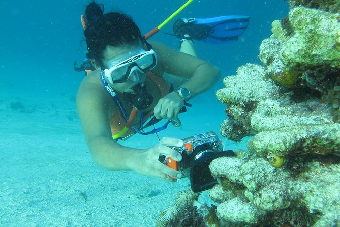 3 ADVENTURES: Sailing Catamaran Cruise - Hooka Diving - Snorkeling - Boat Facilities and Comfort: Small Things That Add Up