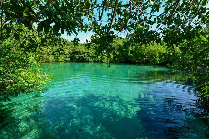 3 Cenote Dives - Casa & Dos Ojos - Transport Between Sites: Pickup Truck Energy, Simple Structure