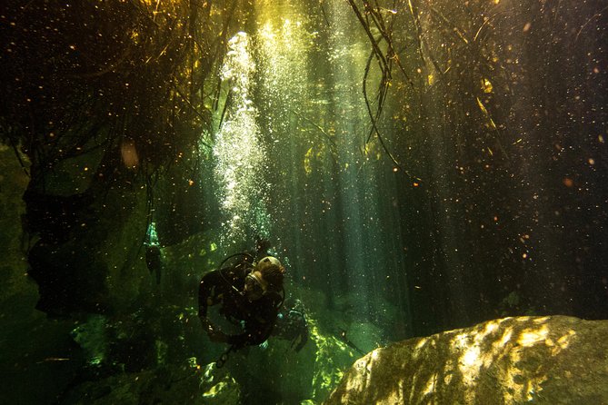3 Cenote Dives - Casa & Dos Ojos - Price Value: Why This Tour Feels Like a Deal Even Without a Big “Price” Number