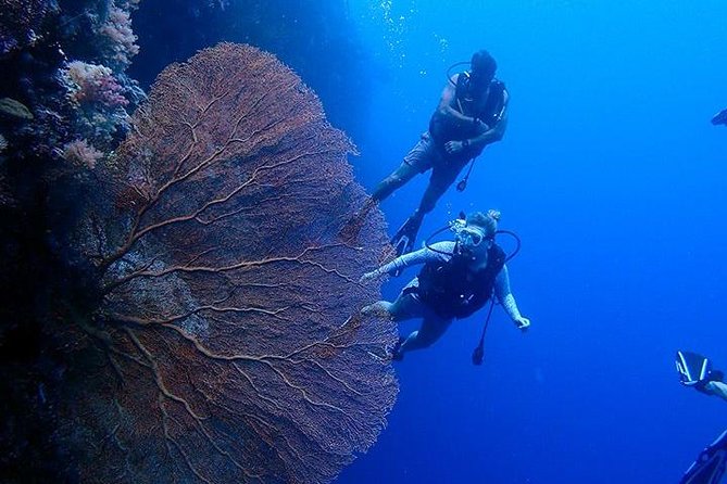 3 Day Dive Tour - Key Highlights I’d Prioritize