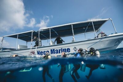 3 Day Dive Tour - Underwater Sessions: Tanks, Weights, and What’s Included