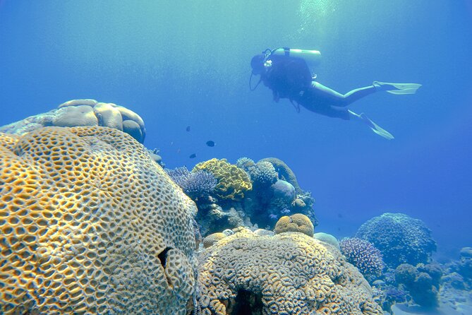 3-Day Open Water Scuba Diving Course in Aqaba - Group size (max 6) and the practical value of small coaching