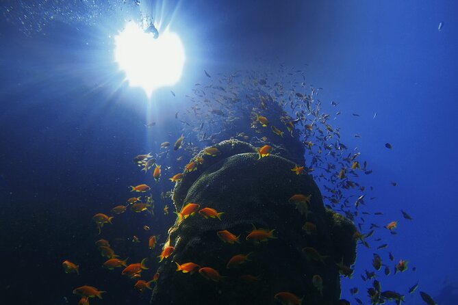 3-Day Open Water Scuba Diving Course in Aqaba - Pricing: does $500 feel fair for what’s included?