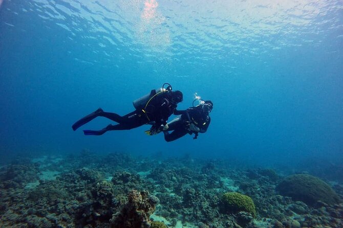 3-Day Open Water Scuba Diving Course in Aqaba - Timing, weather, and why the schedule can shift