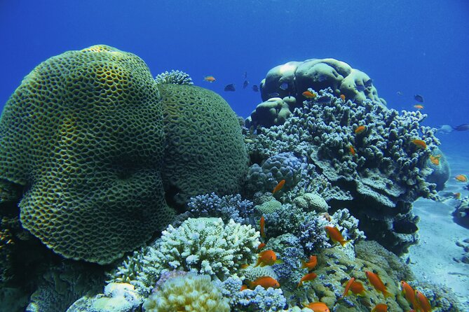 3-Day Open Water Scuba Diving Course in Aqaba - Instructors who explain, correct, and keep you calm