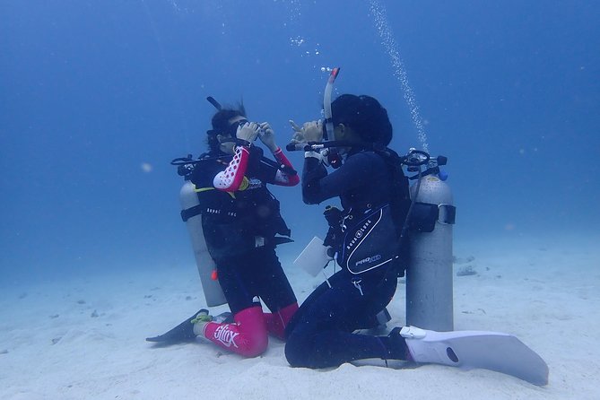 3-Day PADI Open Water Diver Course, Koh Samui - Days 2 and 3 from the Boat: Four Open-Water Sessions That Actually Build Momentum