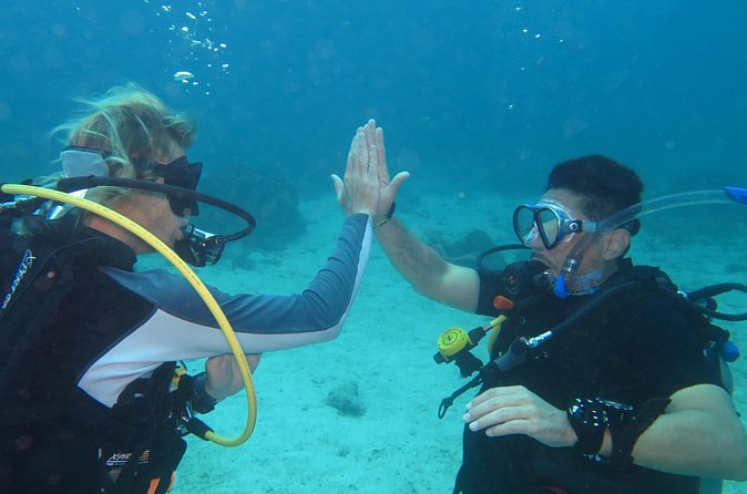 3-Day PADI Open Water Diver Course, Koh Samui - Seeing the Gulf of Thailand Marine Life While You Train