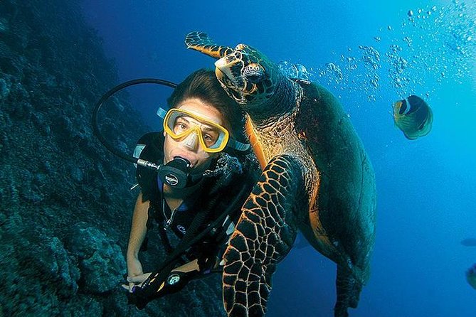 3-Day PADI Open Water Diving Course in Dubai - Getting Your PADI Open Water Certification in Dubai: How the 3-Day Format Works