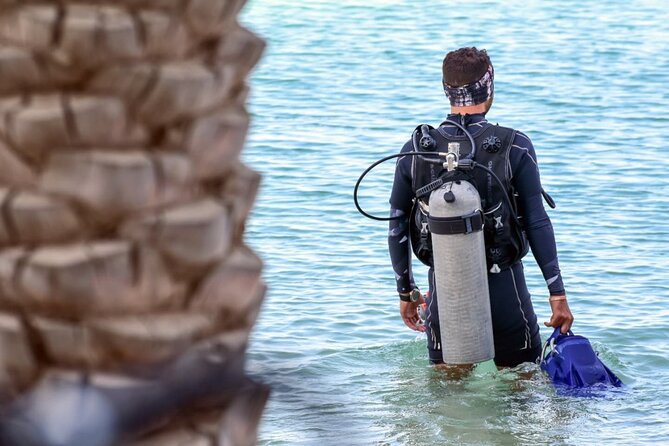3-Day PADI Open Water Diving Course in Dubai - E-Learning and Exams: The Real Decision Point (370 AED)