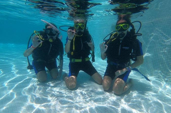 3 Days Open Water Diving Course in Punta Cana - Four open-water sessions to 18 meters: reefs and the Monica wreck