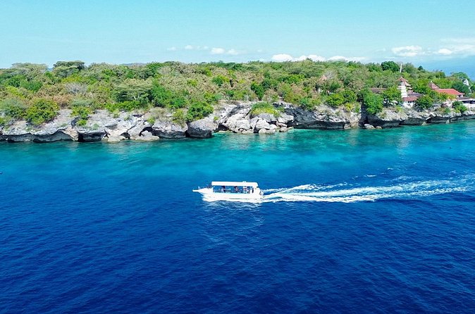 3 Days PADI Open Water Course in Pemuteran - Value and Price: What $425 Really Buys in 3 Days