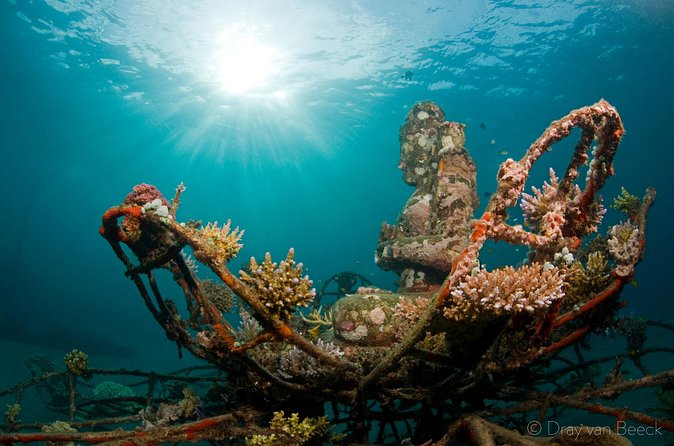 3 Days PADI Open Water Course in Pemuteran - Logistics You’ll Feel: Timing, Group Size, and Weather