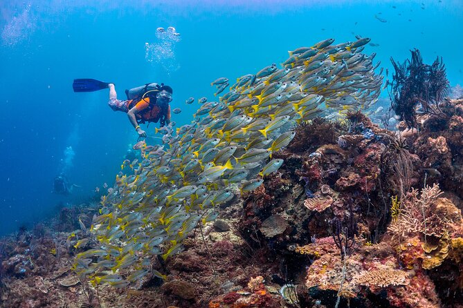 (3 Days) PADI Open Water Diver Course Kota Kinabalu - Day 1 classroom time: 10:00 to 3:45 and why theory is more than paperwork