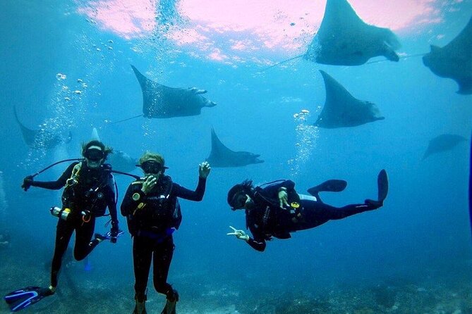 3 Epic Dives in Nusa Penida - Certified Divers' Day Trip - Key Things That Make This Nusa Penida Day Trip Worth Your Time