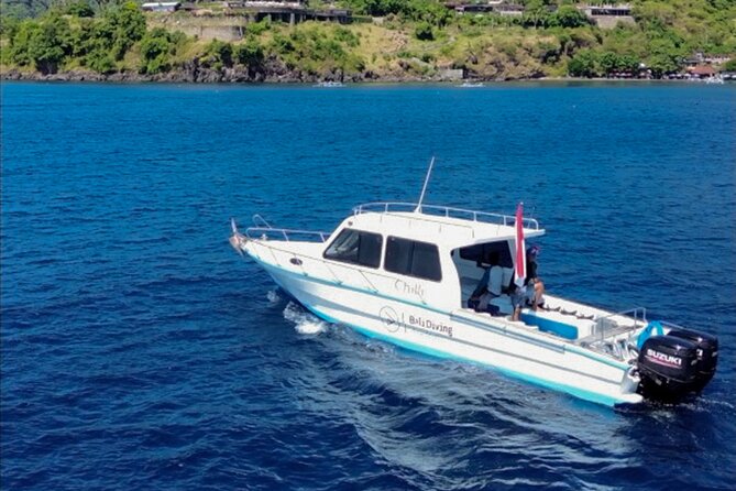 3 Epic Dives in Nusa Penida - Certified Divers' Day Trip - Why Nusa Penida Keeps Showing Up for Manta Chances