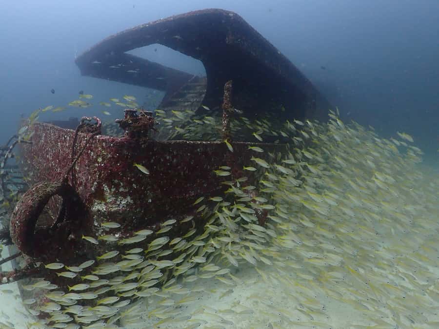 3 Fun Dives for Certified diver at Racha Yai/Noi - Racha Yai & Noi: why this area is a smart certified scuba day