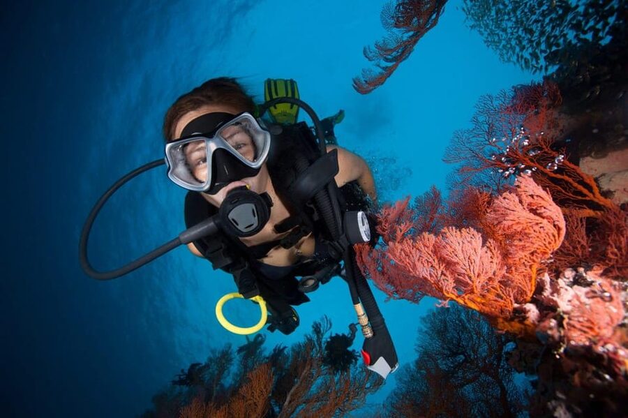 3 Fun Dives for Certified Diver Phi Phi islands &Shark Point - Shark Point stop: snacks, coffee, and a longer recharge