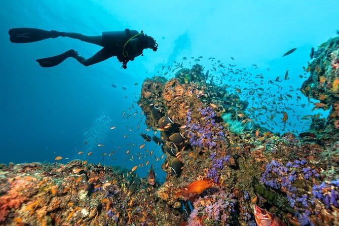 3 Fun Dives in Phi Phi islands for Certified Divers - Phuket to Phi Phi: What Your Full Day Really Looks Like