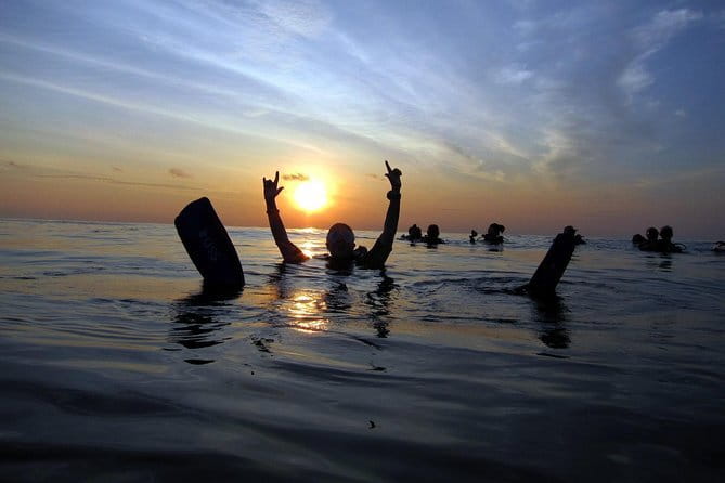 3 Fun Dives in Phi Phi islands for Certified Divers - The Core Value: Three Underwater Sessions for Certified Divers