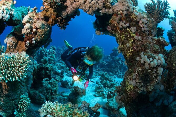 3 Fun Dives in Racha Yai and Racha Noi for Certified Divers - Racha Yai and Racha Noi: why these islands are the whole point