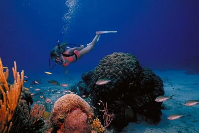 3 Fun Dives in Racha Yai and Racha Noi for Certified Divers - Starting at Chalong Pier at 7:00 am (and why the early start helps)