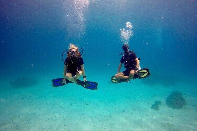 3 Fun Dives in Racha Yai and Racha Noi for Certified Divers - What you can realistically expect to see underwater