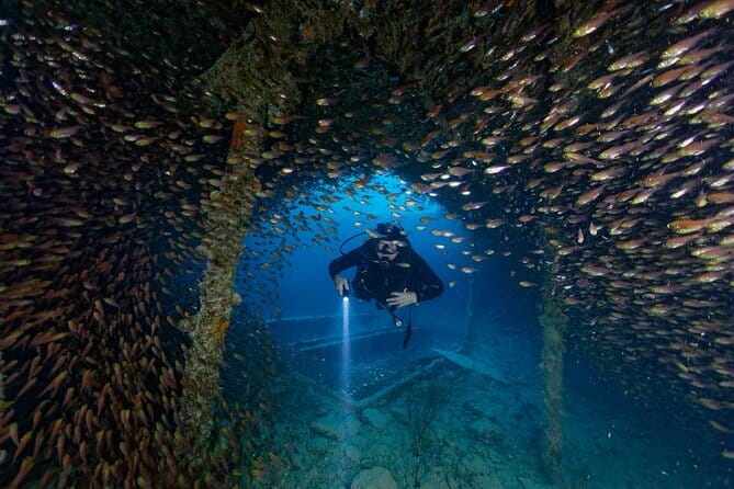 3 Fun Dives King Cruiser Wreck and Koh DokMai for Certified diver - Key Highlights You’ll Actually Care About