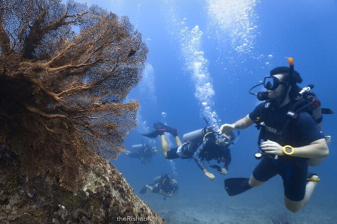 3 Fun Dives King Cruiser Wreck and Koh DokMai for Certified diver - Koh Doc Mai Caves: Where the Mood Turns Quiet