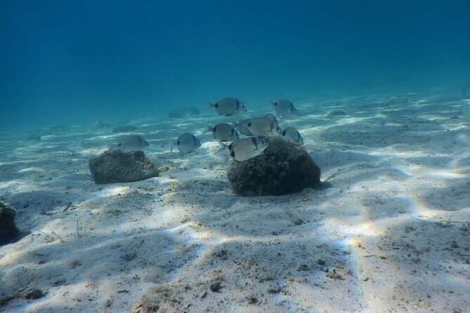 3 Hour Private Scuba Diving Experience - Key things you’ll notice right away