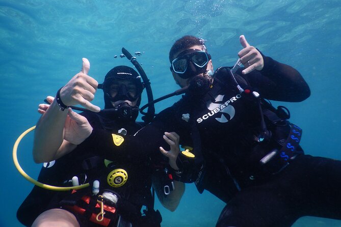 3 Hour Private Scuba Diving Experience - Price and what you’re actually paying for