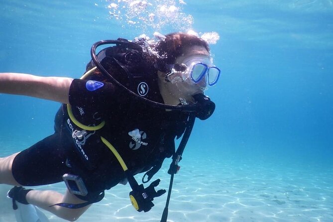 3 Hour Private Scuba Diving Experience - The guided underwater exploration: fish, turtles, and plants