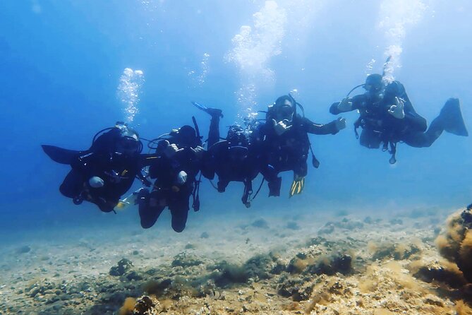 3 Hour Private Scuba Diving Experience - Where you start: Deep Blue Diving Club (and why that matters)
