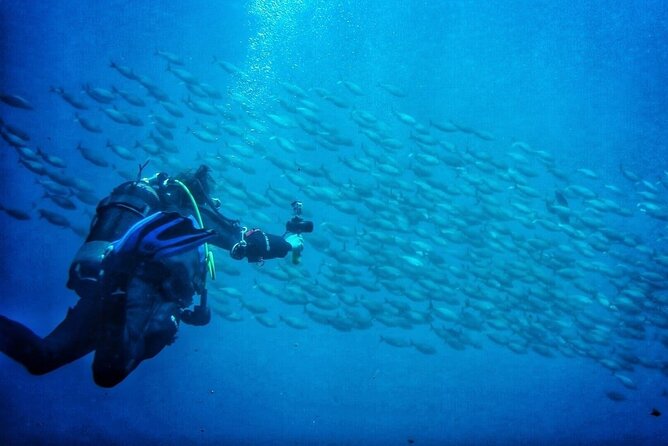 3-Hour Try Scuba Private Guided Sea Baptism from Palermo - Why Isola delle Femmine is a good base for Try Scuba