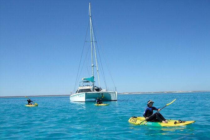 3 Night Ningaloo Reef Snorkel and Dive Getaway from Coral Bay - Day 3: Crew-Picked Reef Time When Conditions Are Best