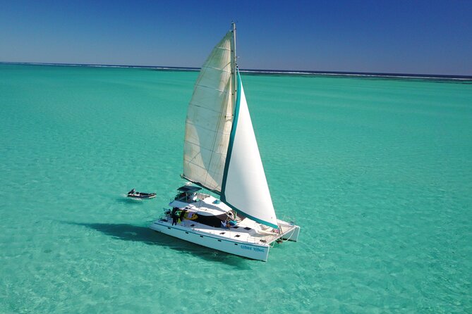 3 Night Ningaloo Reef Snorkel and Dive Getaway from Coral Bay - Day 4 Inner-Reef Manta Rays and a Coral Bay Wrap-Up