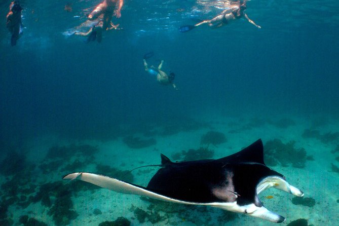 3 Night Ningaloo Reef Snorkel and Dive Getaway from Coral Bay - Gear and Water Time: What’s Included, What You Must Plan