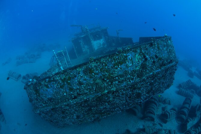 3-Tank Dive Featuring the Molokini Crater - What You Might See: Rays, Sharks, and a Moray Moment to Remember
