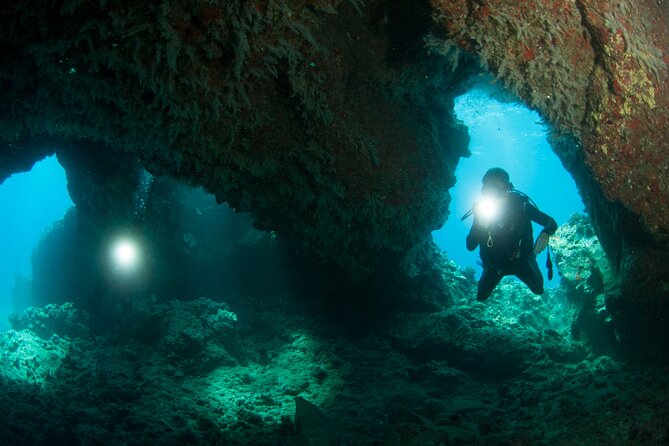 3-Tank Dive Featuring the Molokini Crater - Who Should Book This Trip (and Who Should Skip It)