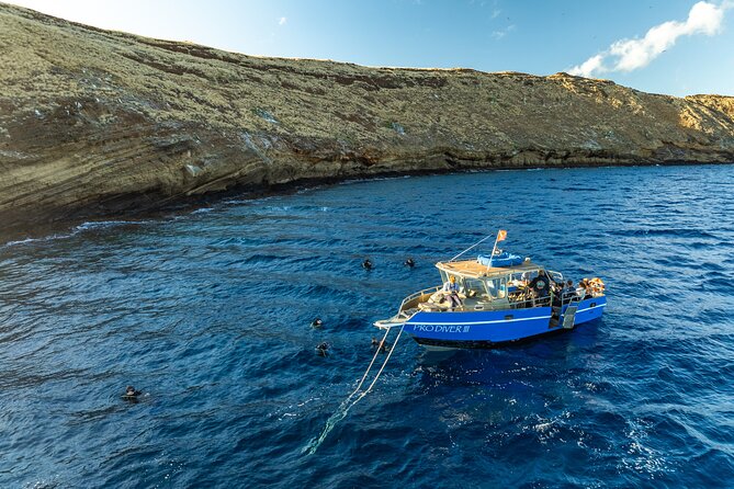 3-Tank Dive Featuring the Molokini Crater - Molokini Crater: Protected Water, Clear Visibility, and Wildlife Odds