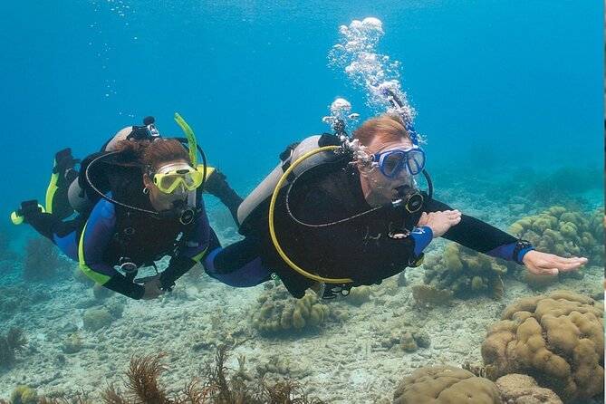 4 Day Certified PADI Open Water Scuba Diver in Dubai - Where you meet in Jumeirah and what to expect on day one