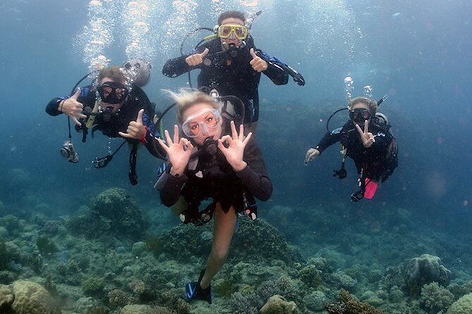4 Day Certified PADI Open Water Scuba Diver in Dubai - The day-by-day flow: theory first, then skills, then open water